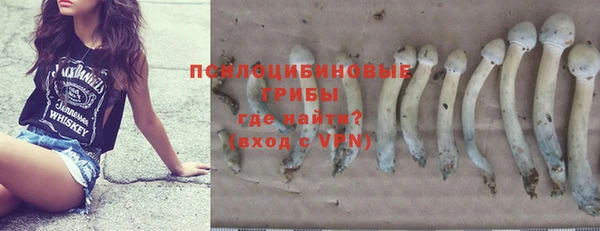 соль ск Белокуриха